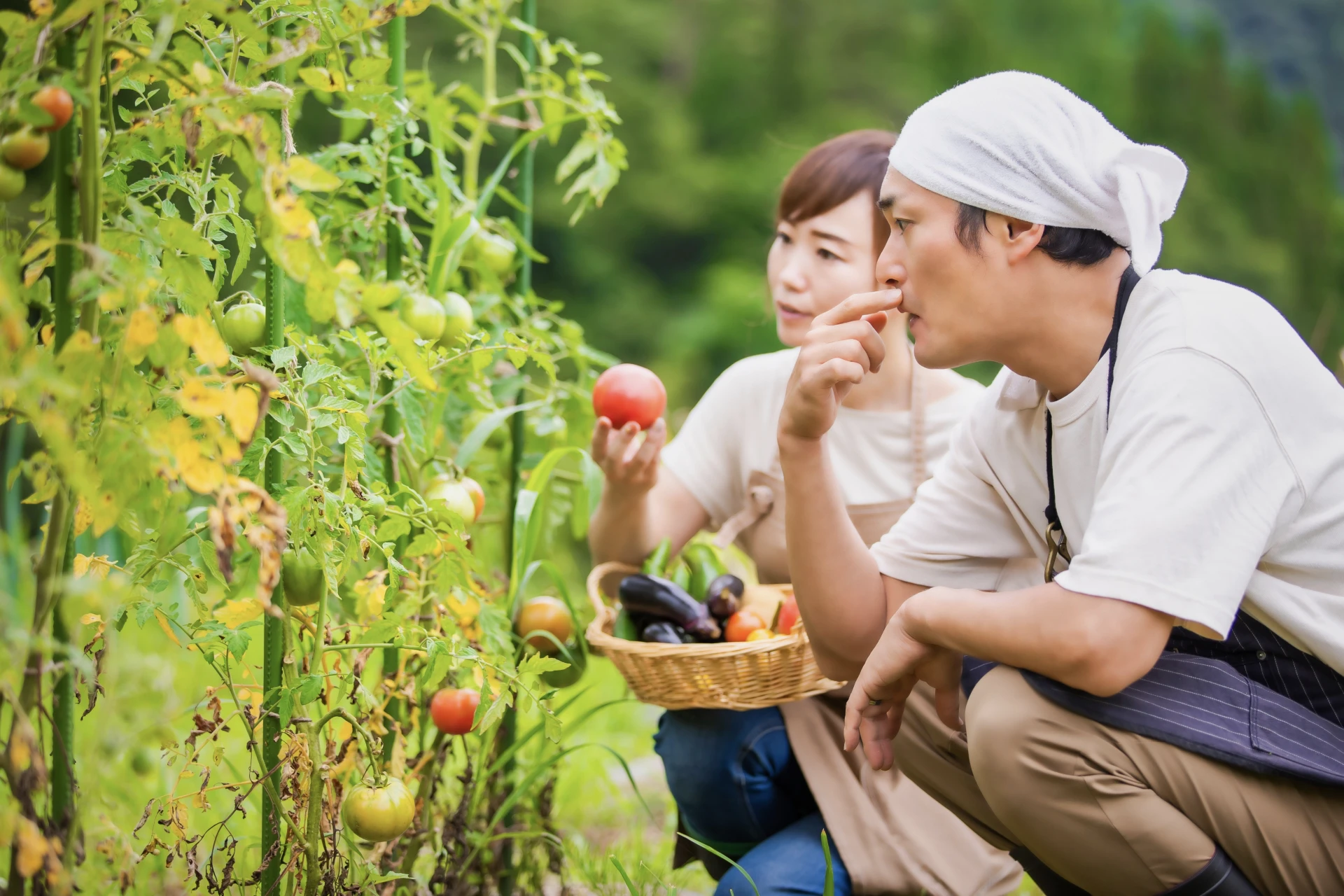 man and woman taste the harvests from the garden they grow their own vegetables